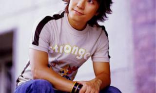 邰正宵的那首情人之间的情人的歌词是什么意思啊 邰正宵好听的歌