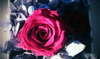 一生一世守护你原唱 我用一生一世的心