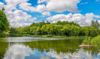 新江湾城体育场有什么好玩的 新江湾城湿地公园